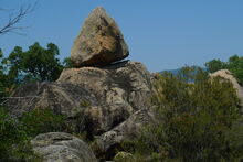 El rocar