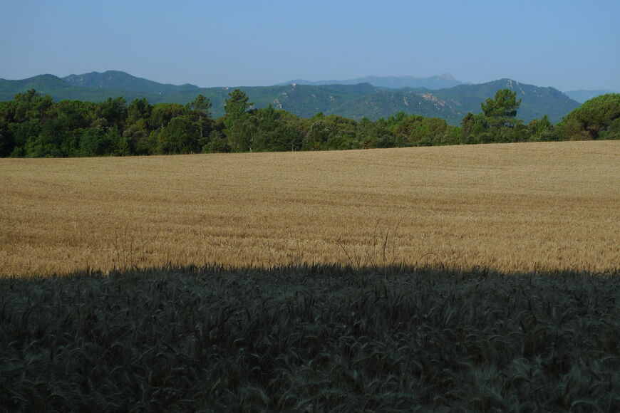 Paisajes de la ruta Paisajes de la ruta