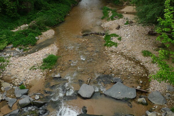 Santa Coloma's stream