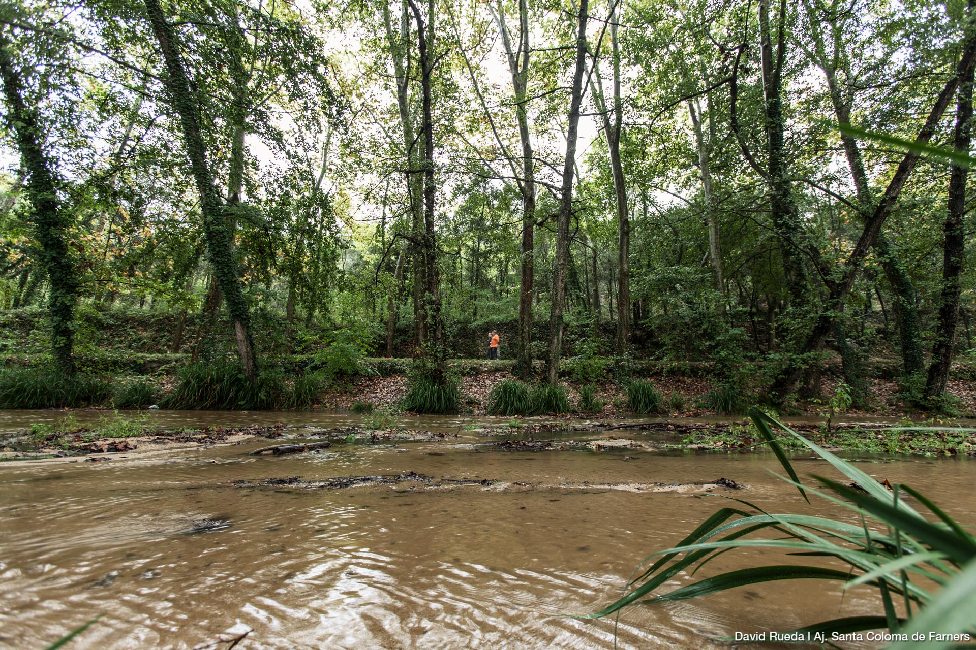 Santa Coloma's stream