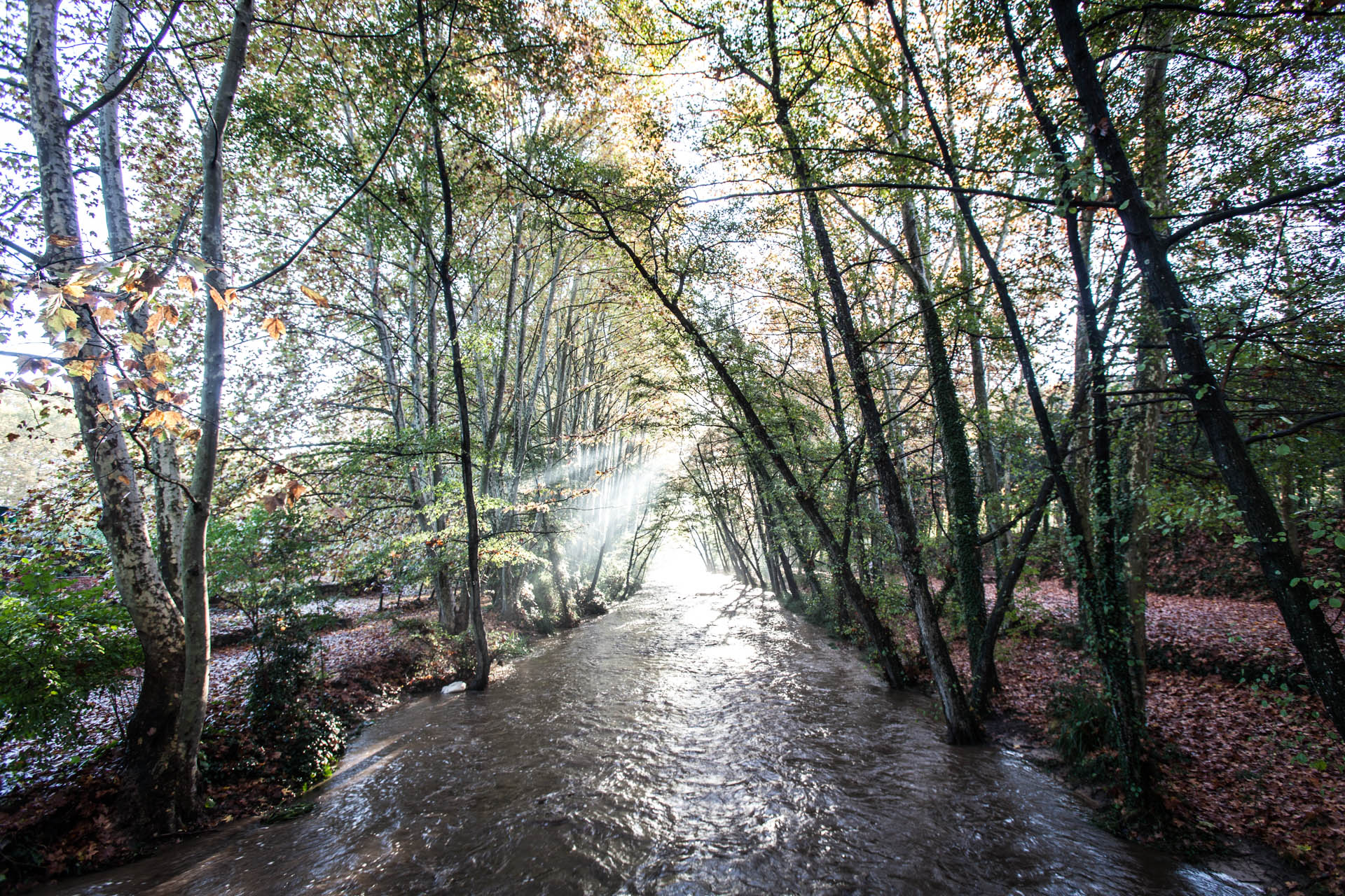 Santa Coloma's stream